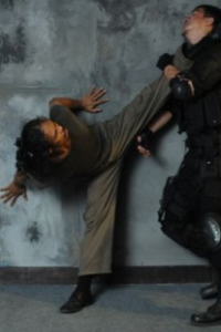 Raid, The: Redemption